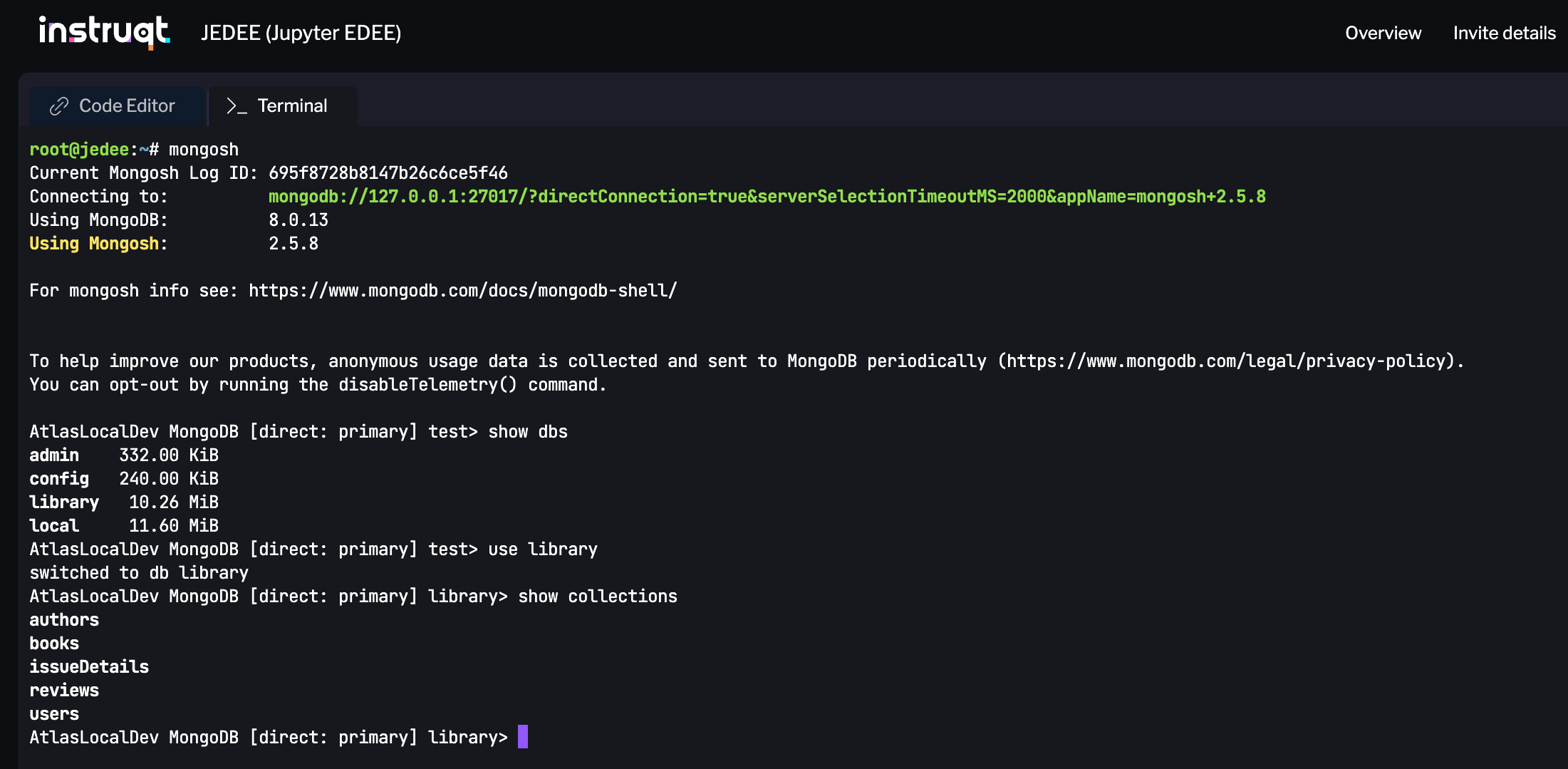 Using the Terminal and mongosh