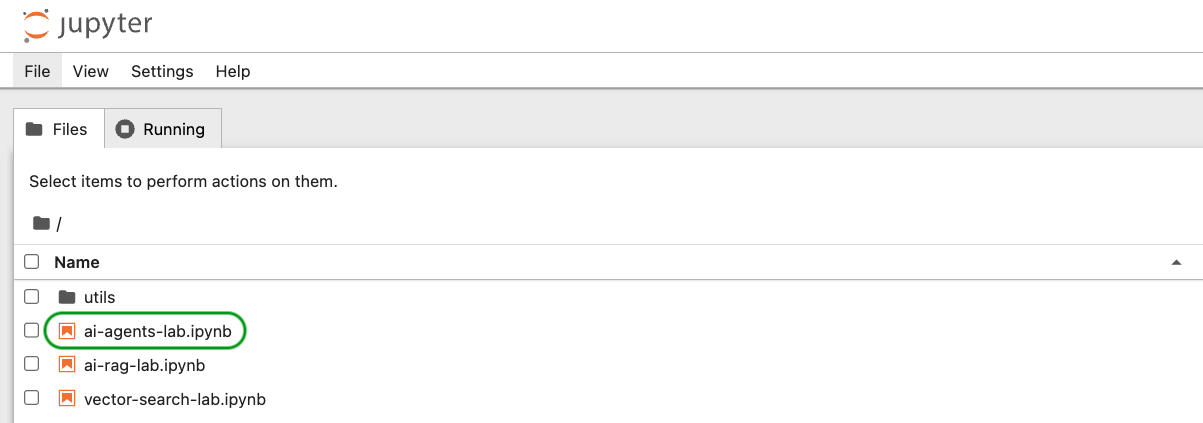 Jupyter Notebook