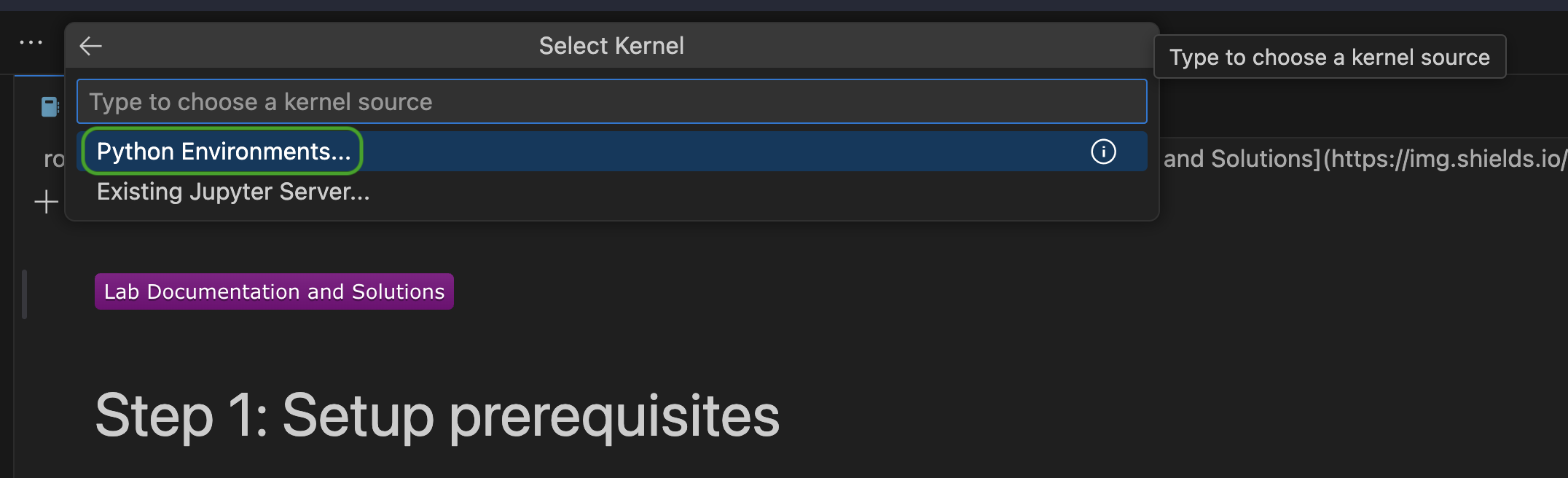 Select Python Environments