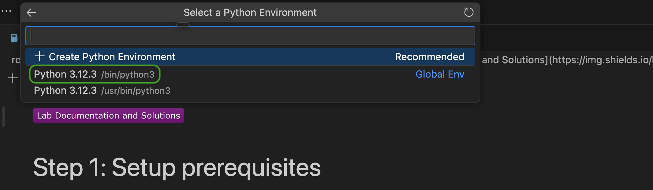Select recommended interpreter