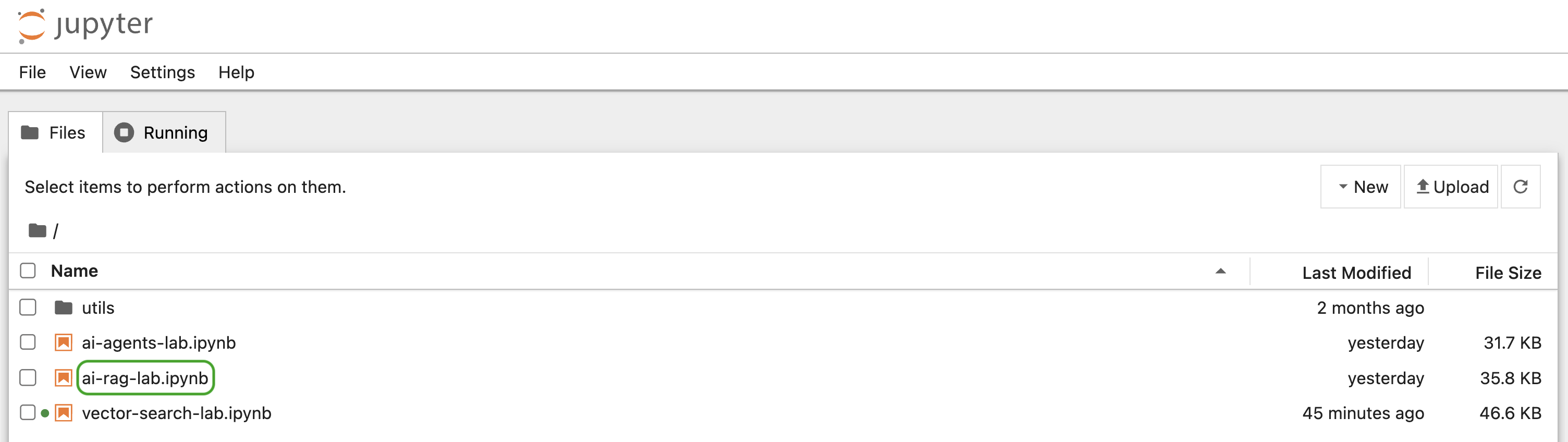 Jupyter Notebook