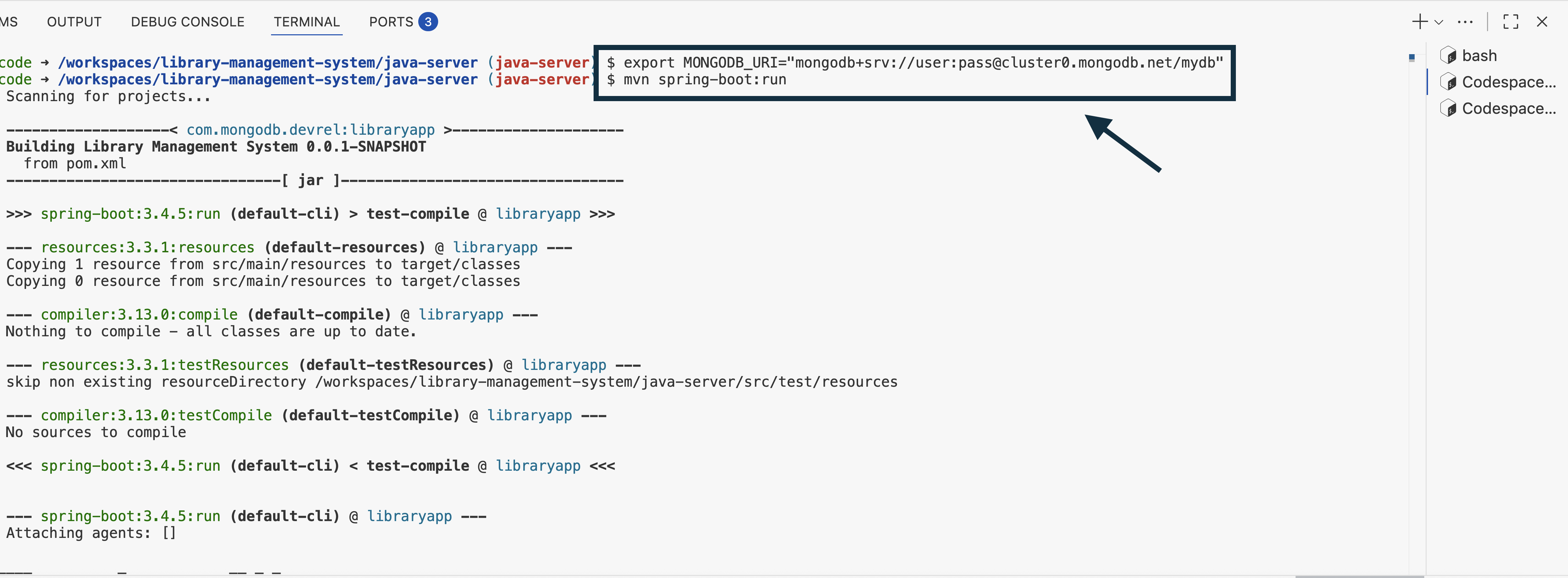 Set environment variable