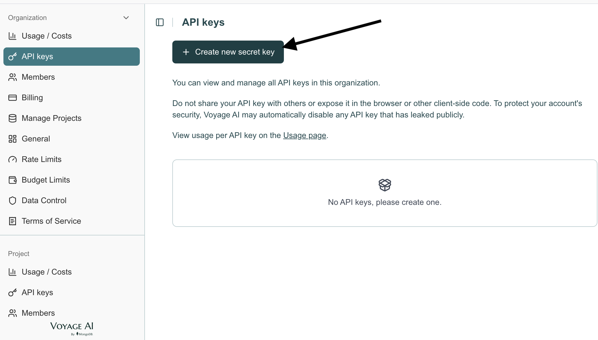 The Voyage AI API keys page