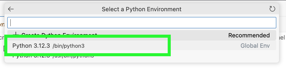 Select recommended interpreter