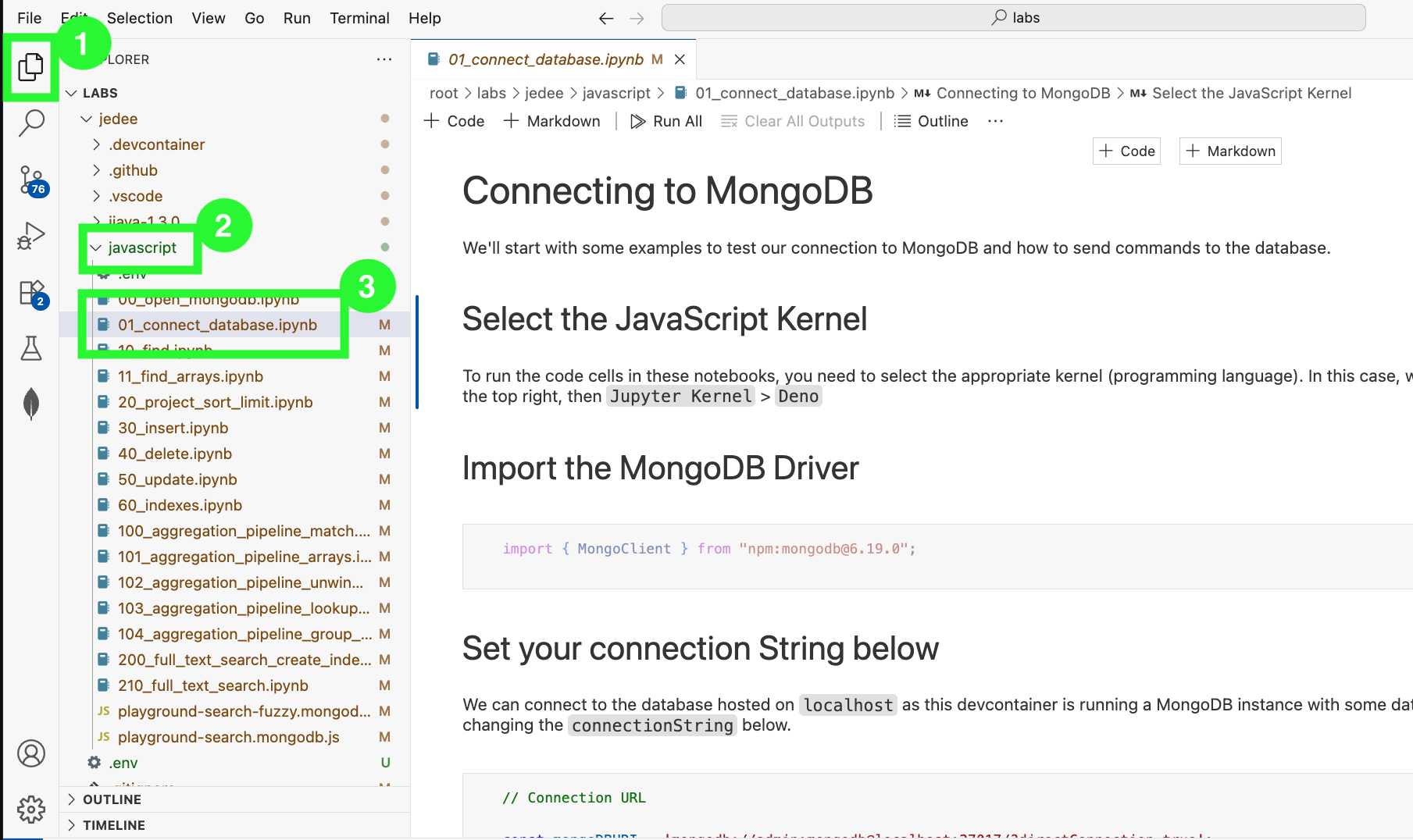 Navigate to the notebook