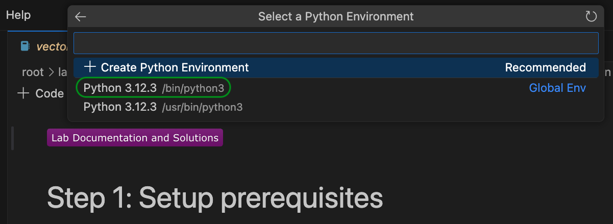 Select recommended interpreter