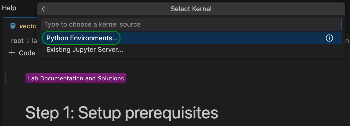 Select Python Environments